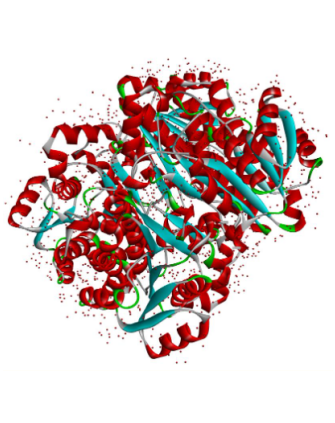 Serrapeptase